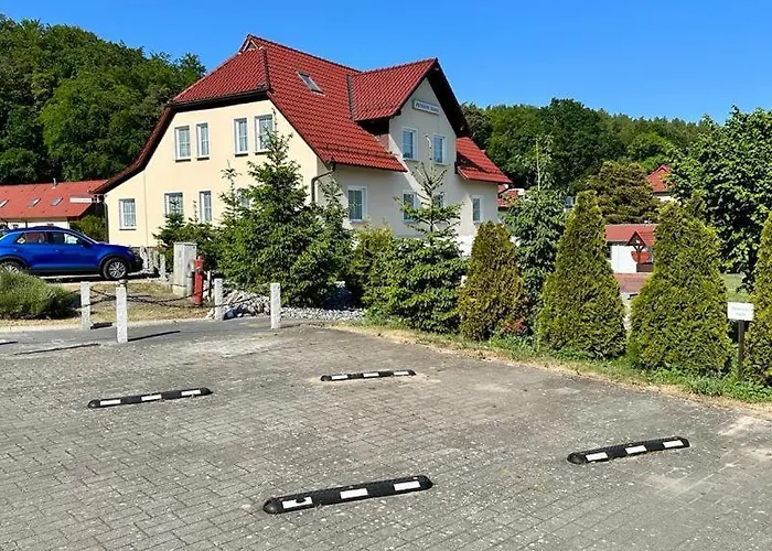 Hanni Sellin (Rugen)